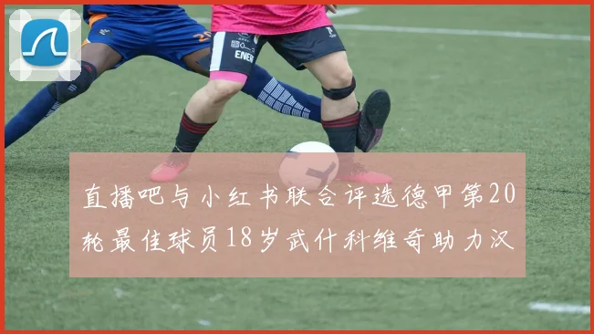 直播吧与小红书联合评选德甲第20轮最佳球员18岁武什科维奇助力汉堡逼平拜仁