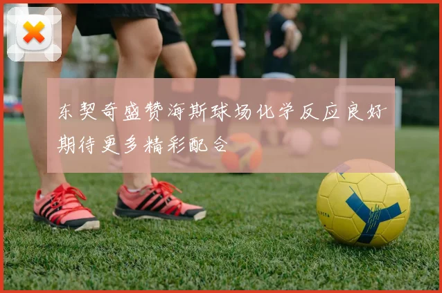 东契奇盛赞海斯球场化学反应良好期待更多精彩配合